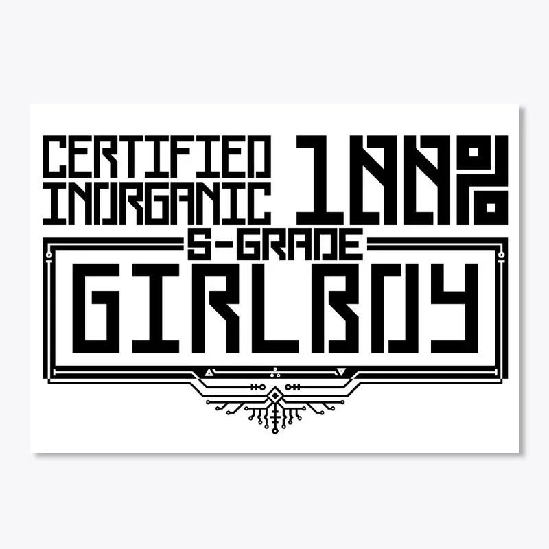 GIRLBOY CERTIFICATION PROGRAM