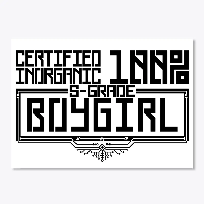 BOYGIRL CERTIFICATION PROGRAM