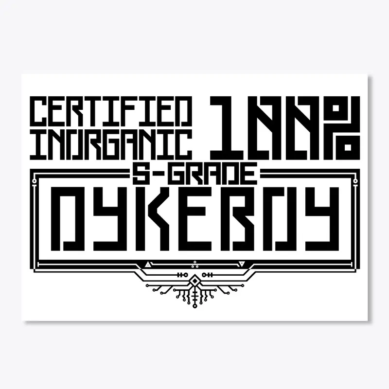 DYKEBOY CERTIFICATION PROGRAM