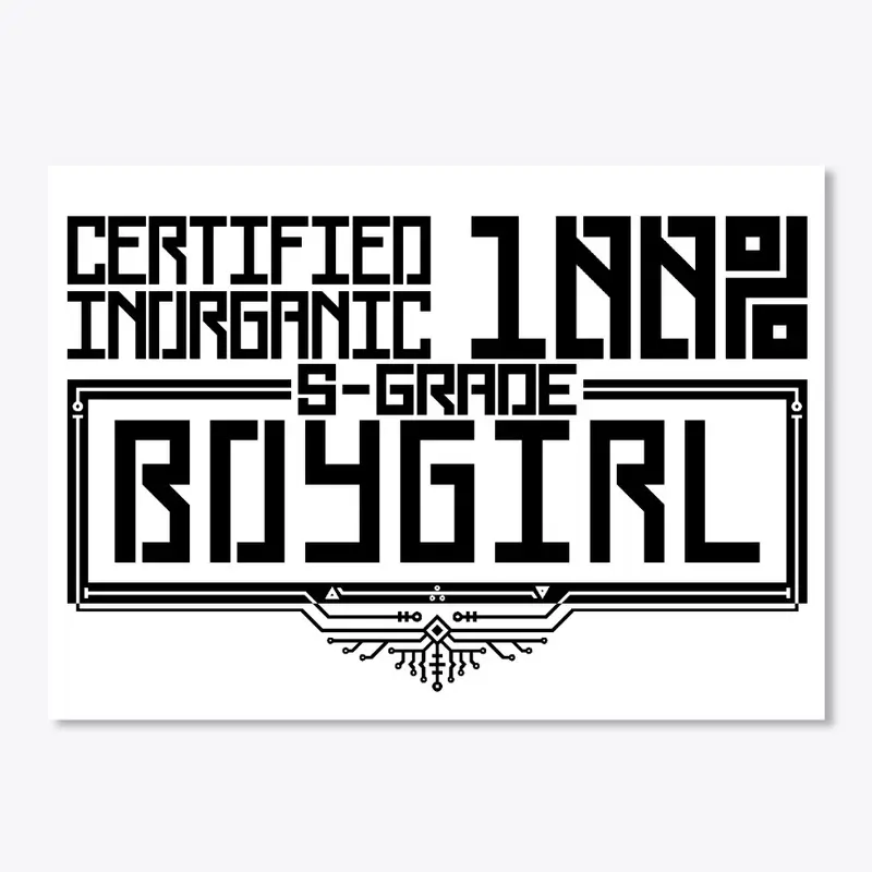 BOYGIRL CERTIFICATION PROGRAM